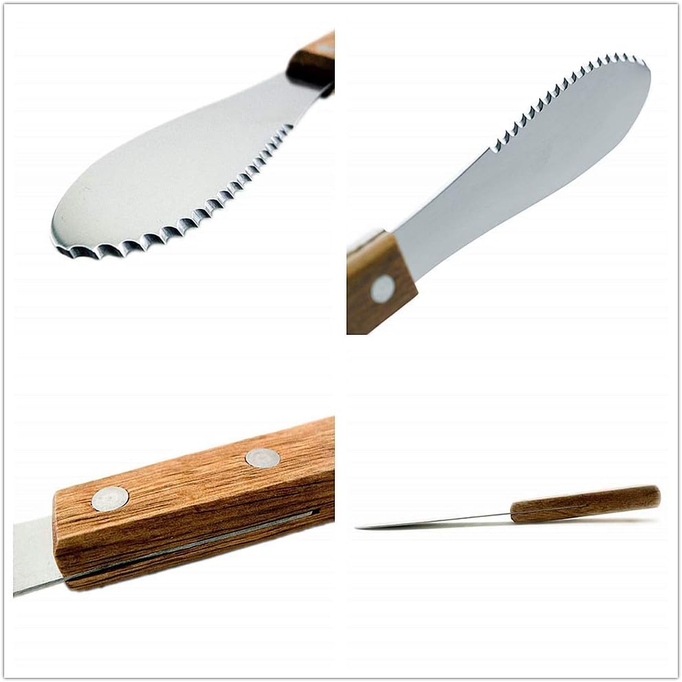 TINGFENG 4PCS Butter Knife Spreader CreamSpatula S... - Image 3